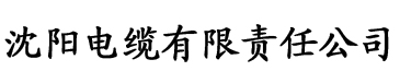 2020国产午夜福利久久电缆厂logo